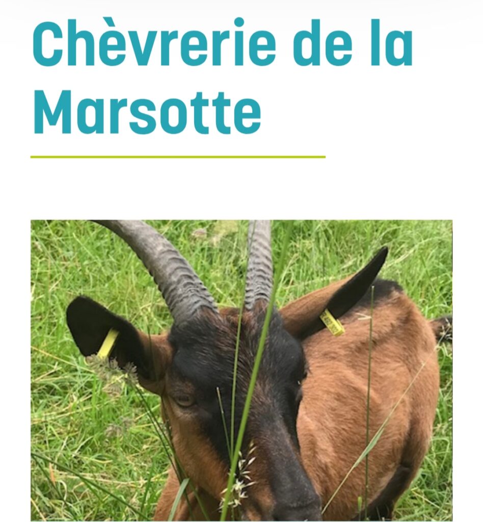 producteur bio au lait de chèvre - haute Saône